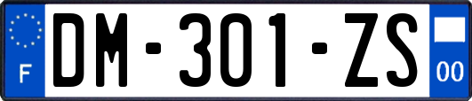 DM-301-ZS