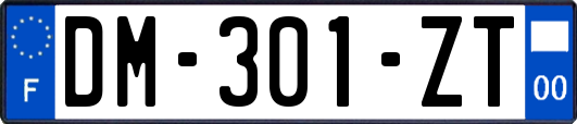 DM-301-ZT