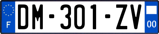 DM-301-ZV