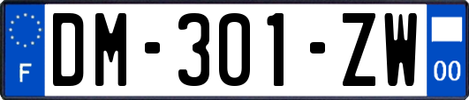 DM-301-ZW