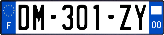 DM-301-ZY