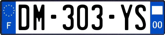 DM-303-YS