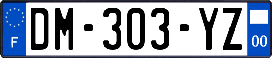 DM-303-YZ