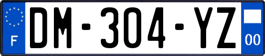 DM-304-YZ