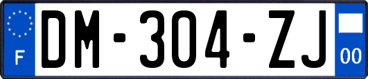 DM-304-ZJ