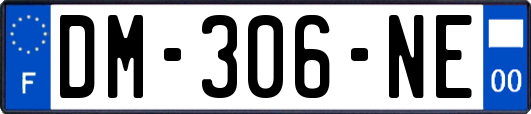 DM-306-NE
