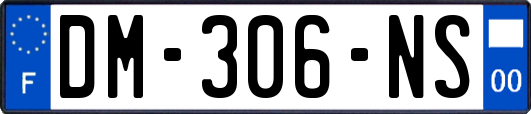 DM-306-NS