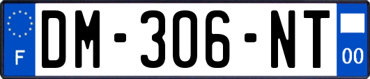 DM-306-NT