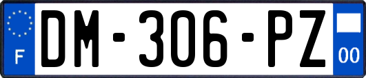 DM-306-PZ