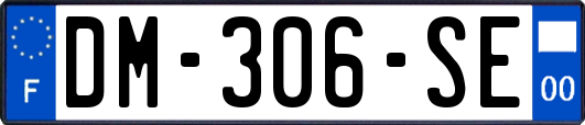 DM-306-SE