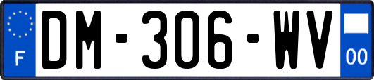 DM-306-WV