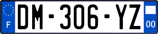 DM-306-YZ