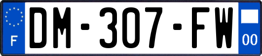 DM-307-FW