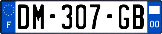 DM-307-GB