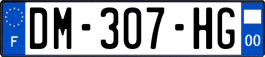 DM-307-HG