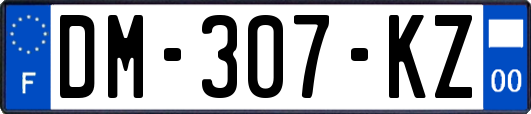 DM-307-KZ
