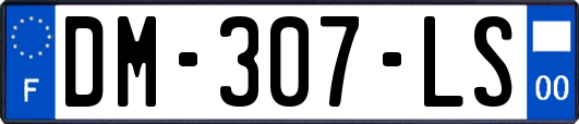 DM-307-LS