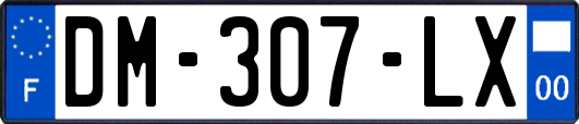 DM-307-LX