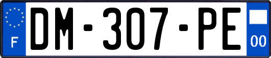 DM-307-PE
