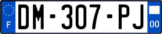 DM-307-PJ
