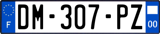 DM-307-PZ