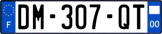 DM-307-QT