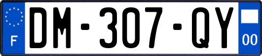 DM-307-QY