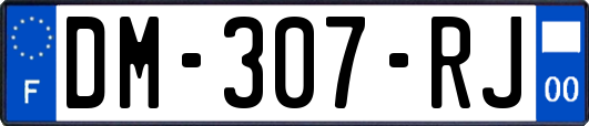 DM-307-RJ