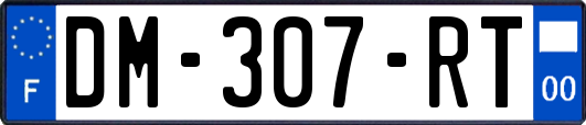 DM-307-RT