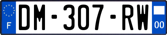 DM-307-RW