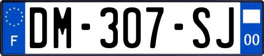 DM-307-SJ