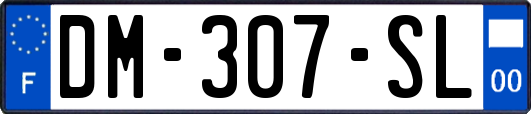 DM-307-SL