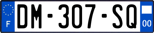DM-307-SQ