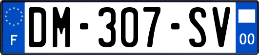 DM-307-SV