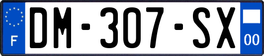 DM-307-SX