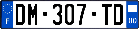 DM-307-TD