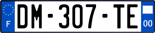 DM-307-TE