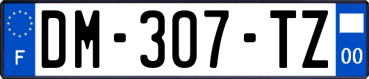 DM-307-TZ