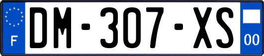 DM-307-XS