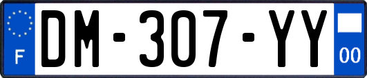 DM-307-YY