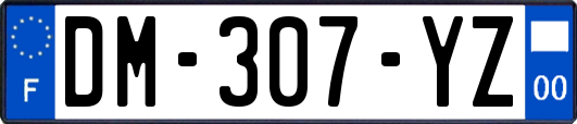 DM-307-YZ