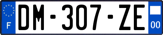 DM-307-ZE