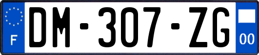 DM-307-ZG