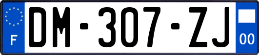 DM-307-ZJ