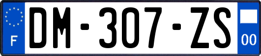 DM-307-ZS