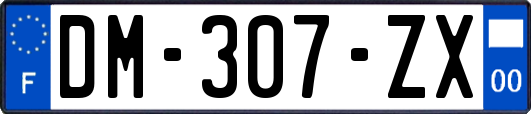 DM-307-ZX