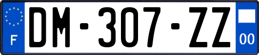 DM-307-ZZ