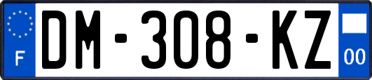DM-308-KZ