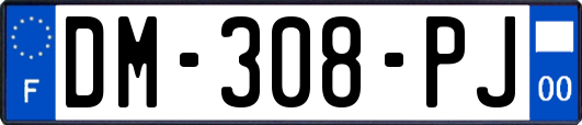 DM-308-PJ