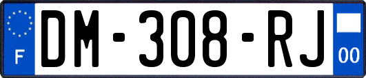DM-308-RJ